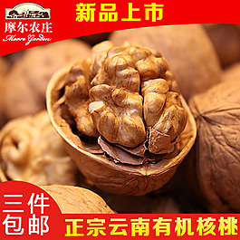 淘寶核桃直通車主圖設(shè)計(jì)模板psd素材