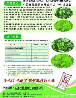金米陽彩頁圖片