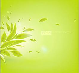 綠葉背景樹(shù)葉背景圖片