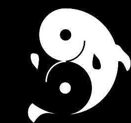 fishyin fishyang