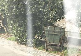 一米阳光图片