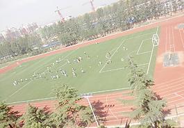 足球場圖片
