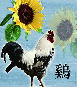 十二生肖圖片