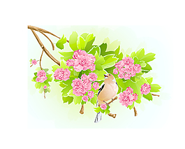 花01矢量背景