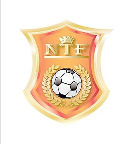 ntf足球標志圖片