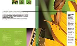 外国生物科学画册PSD分层模