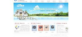 網(wǎng)站首頁模板圖片