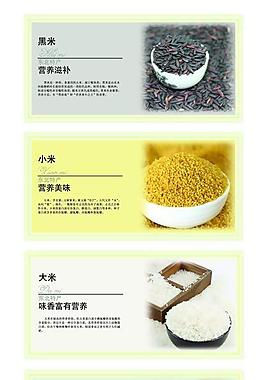 雜糧 米糧海報(bào)圖片