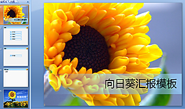向日葵ppt模板下載