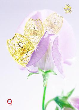 黃金圖片