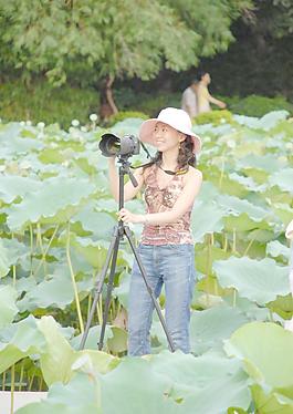 菏花池里拍照的女人圖片