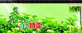茶