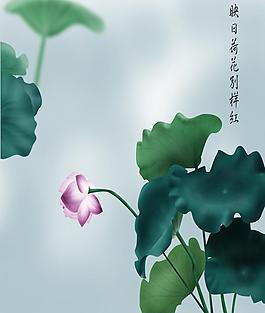 荷花圖片