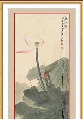 荷花圖片