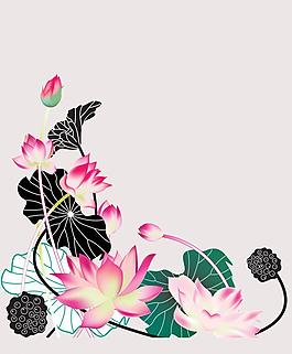 荷花圖片