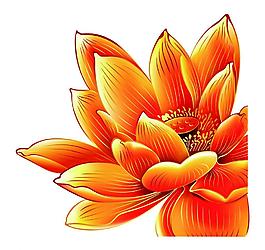 荷花圖片