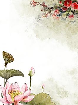 荷花圖片