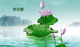 荷花圖片