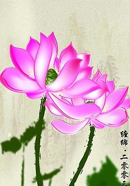 荷花圖片