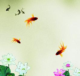 荷花圖片