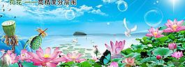 荷花圖片