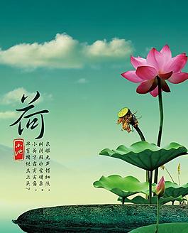 荷花圖片