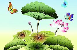 荷花圖片