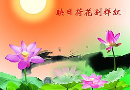 荷花圖片
