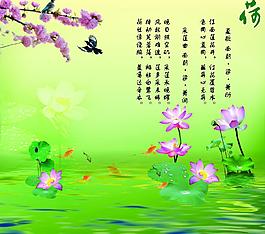 荷花圖片