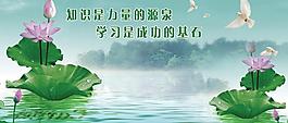 荷花圖片