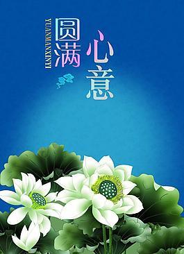 荷花圖片