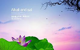 荷花圖片