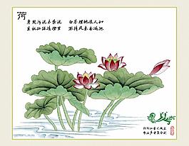 荷花圖片