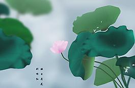 荷花圖片