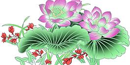 荷花圖片