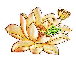 荷花圖片