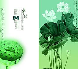 荷花圖片