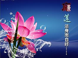 荷花圖片