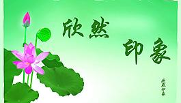 荷花圖片