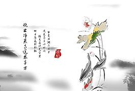 荷花圖片