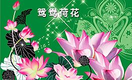 荷花圖片