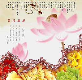 荷花圖片