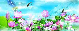 荷花圖片