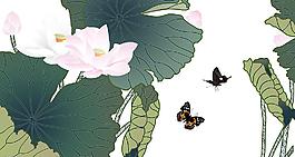 荷花圖片