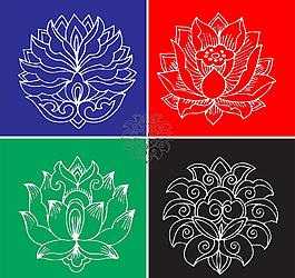 荷花圖片