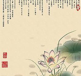 荷花圖片