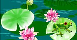 荷花圖片