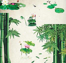 荷花 竹子圖片