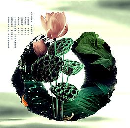 水墨荷花圖片