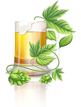 啤酒圖片